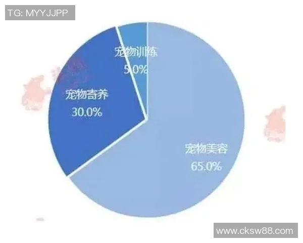 杭州羽毛球队实力分析与发展潜力的深度探讨与展望